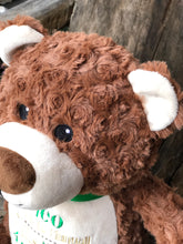 Bear - Brown