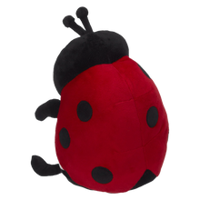 Ladybug