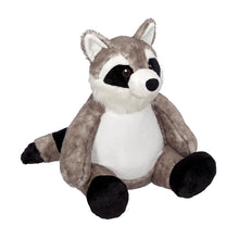 Racoon