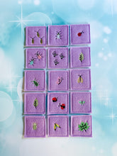 Bug Matching Game