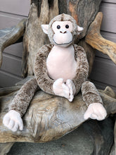 Monkey - Long Arms