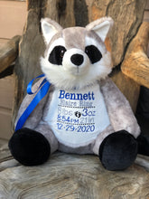 Racoon