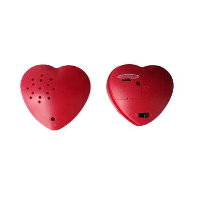 Voice Heart Recorder