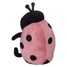 Ladybug