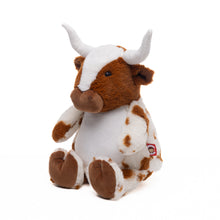 Texas Longhorn